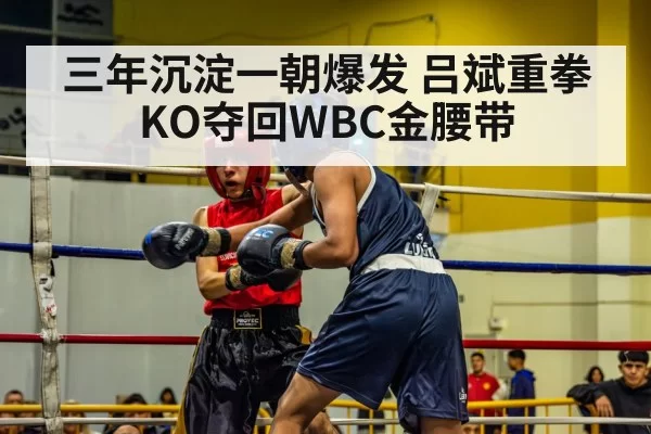 三年沉淀一朝爆发 吕斌重拳KO夺回WBC金腰带