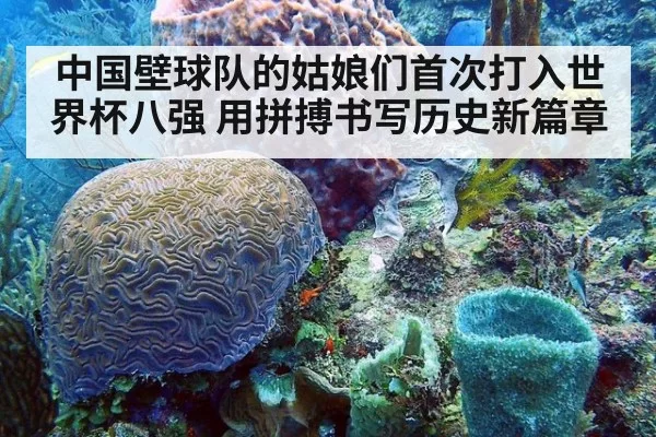 中国壁球队的姑娘们首次打入世界杯八强 用拼搏书写历史新篇章